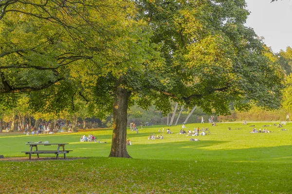 Németország, Köln. A Park Holiday — Stock Fotó