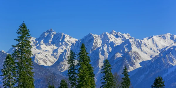 Sochi Krasnaya Polyana peyzaj