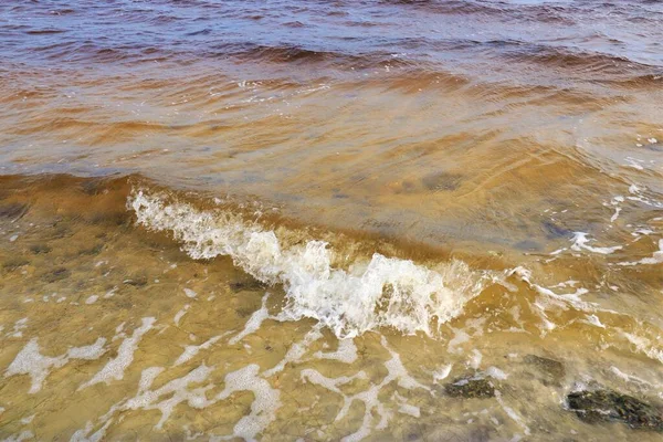 Küçük Okyanus Dalgaları Meksika Körfezi Kıyısına Vurur — Stok fotoğraf