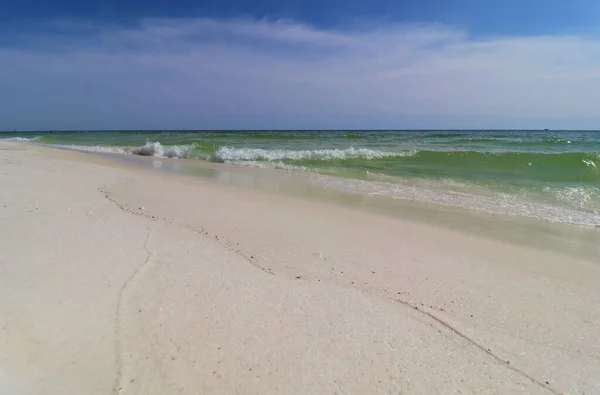 Close-up green wave on the ocean shore, small wave creates foam, shooting from the beach