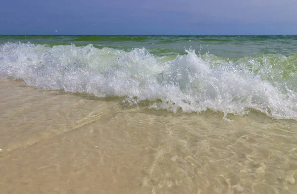 Close-up green wave on the ocean shore, small wave creates foam, shooting from the beach