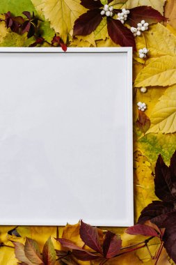 Sonbahar yapraklı metin için arkaplan