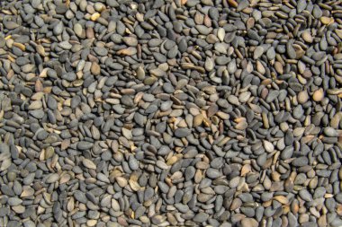 Siyah susam tohumları yakınlaşır. arkaplanda siyah susam resmi