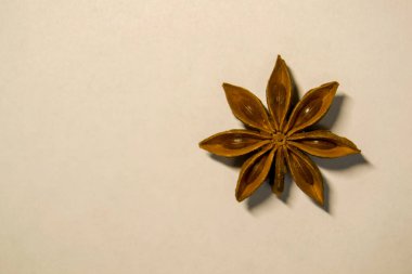 Tahıllı yıldız anason meyvesi. yıldız anason hafif bir arkaplanda yatar