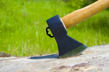 bir kütüğe saplanmış balta