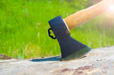 bir kütüğe saplanmış balta