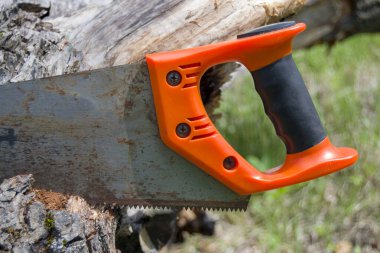 Kütüğe sıkışmış bir ağaç için eski bir testere. İşlem sırasında marangozluk aracı