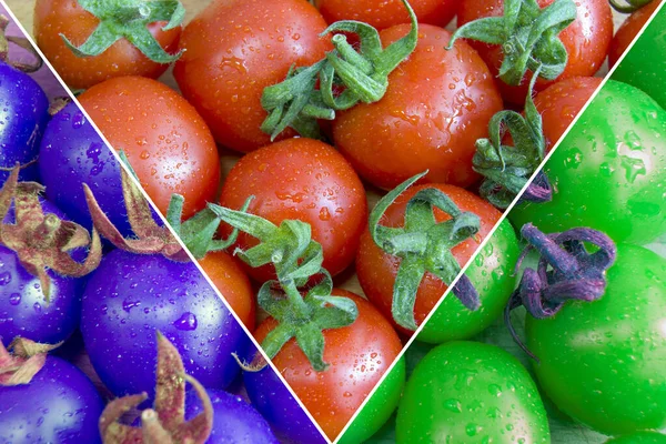 mavi, kırmızı ve yeşil domates kolajı