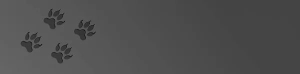 Üzerinde dört siyah hayvan ayak izi olan pankart. Gri arka planda yırtıcı pençe izi. 3 boyutlu görüntüleme. 3B resim