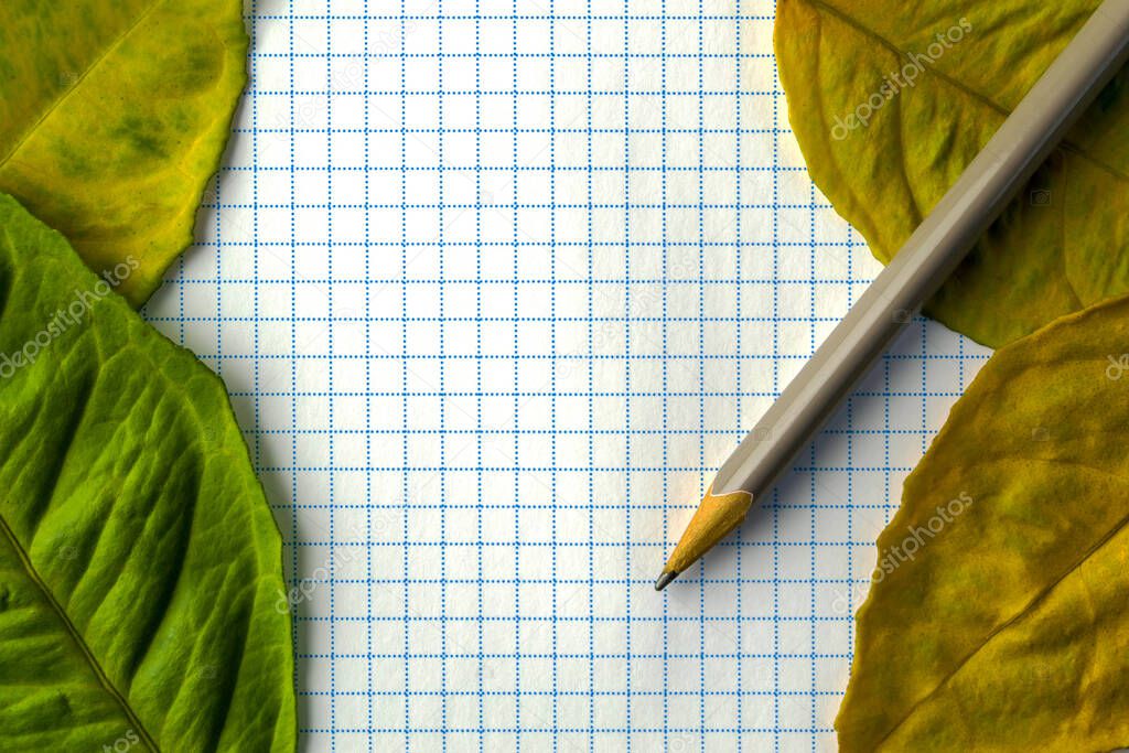 Creative composition of yellowed leaves of lemon, pencil and sheet of paper in a cage. Empty space to insert text with blue lines
