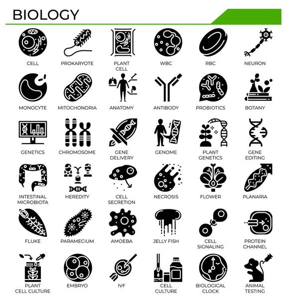 Set Icone Biologia Sito Web Studio Educazione Scientifica Presentazione Libro — Vettoriale Stock