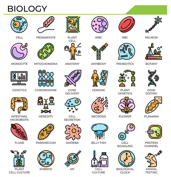 Ikon Biologi Yang Ditetapkan Untuk Studi Ilmu Pengetahuan Dan Pendidikan - Stok Vektor