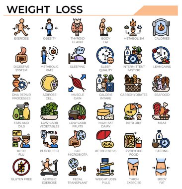 Bilim çalışması, sağlık sorunu ve eğitim web sitesi, sunum, kitap için kilo kaybı ve ketogenik diyet simgesi.