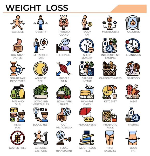Weight Loss Ketogenic Diet Icon Set Science Study Health Issue — Stock Vector