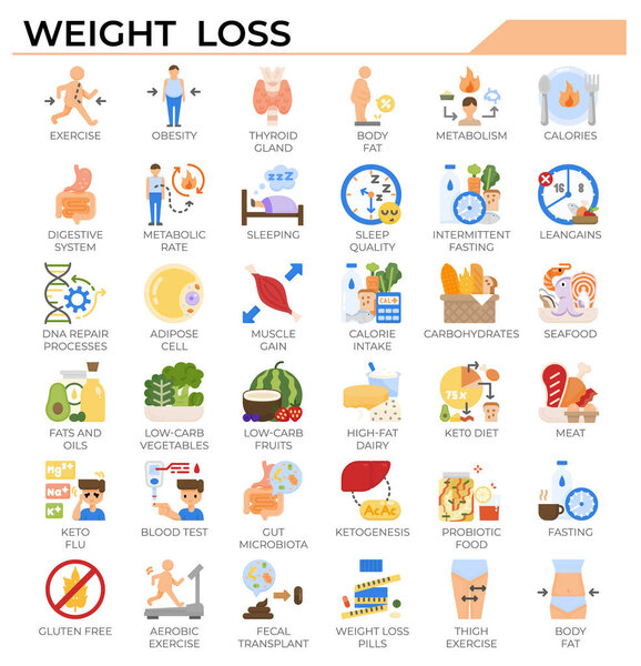Weight loss and ketogenic diet icon set for science study, health issue and education website, presentation, book.