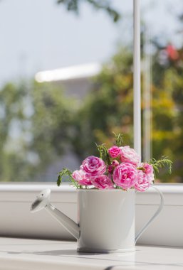 Gül kokulu pencerenin yakınındaki küçük beyaz sulama olabilir