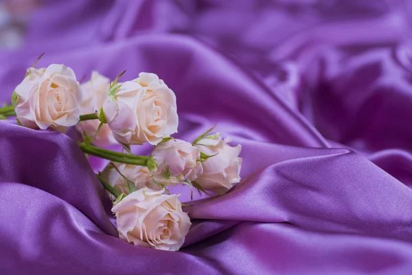 Ramo de rosas cremosas en pliegues de tela de satén púrpura — Foto de Stock