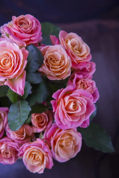 Ramo de rosas rosadas sobre fondo azul oscuro — Foto de Stock