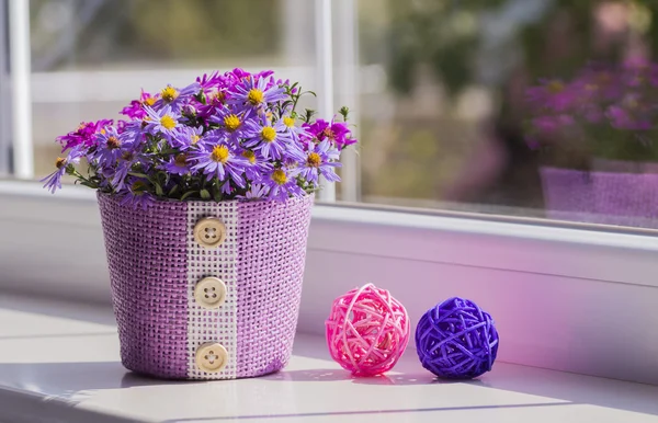 Bunch of small purple chrysanthemums in lilac basket near window