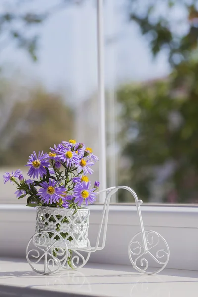 Bunch of small purple chrysanthemums in white vintage bicycle ne — Stock Photo, Image