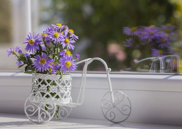 Bunch of small purple chrysanthemums in white vintage bicycle ne — Stock Photo, Image