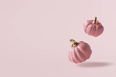 Açık pembe arka planda, fotokopi alanı olan iki pembe balkabağı. Sonbahar tatili ya da Cadılar Bayramı için pankart. Metin için yer.