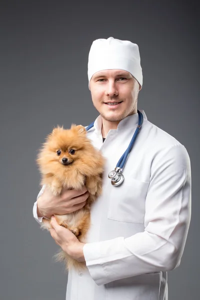Smiling male vet with phonendoscope holding cute pomeranian dog — Stock Photo, Image