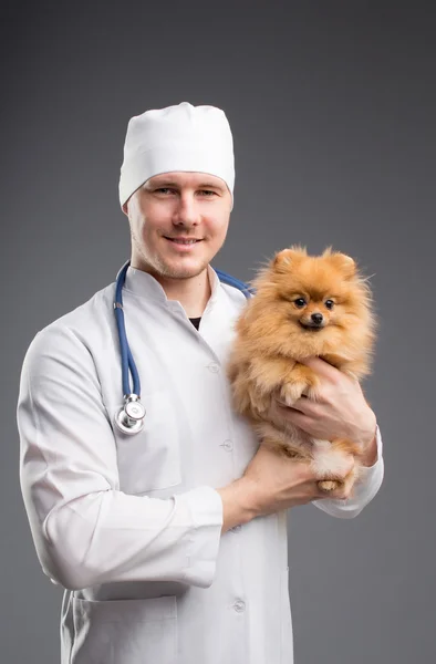 Smiling male vet with phonendoscope holding cute pomeranian dog — Stock Photo, Image