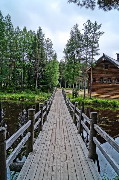 Ormanda ahşap köprü