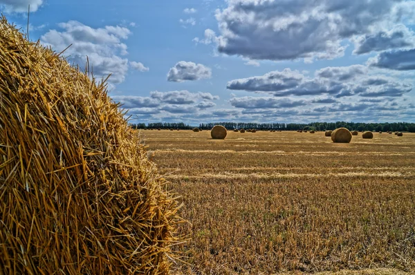 Stack of hay — Stock Photo, Image