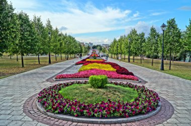 Parkta güzel çiçek yatak