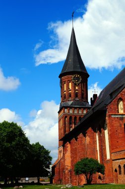 Kaliningrad Katedrali