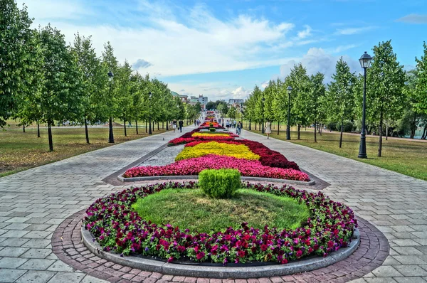 Parkta güzel çiçek yatak