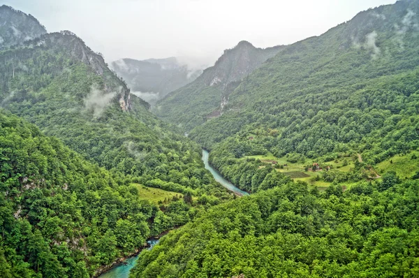 Каньйон річки тара — стокове фото