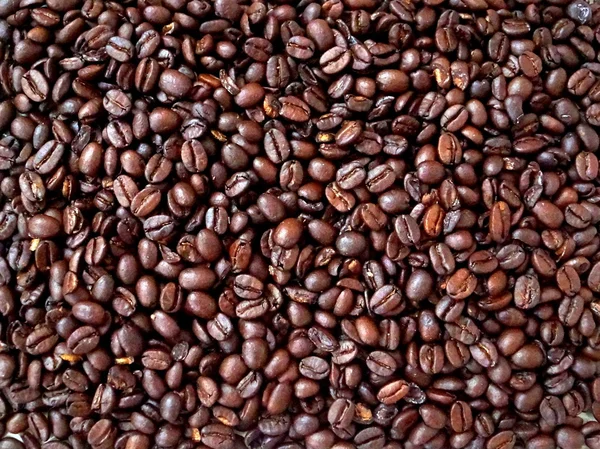 hoş kokulu kahve çekirdekleri