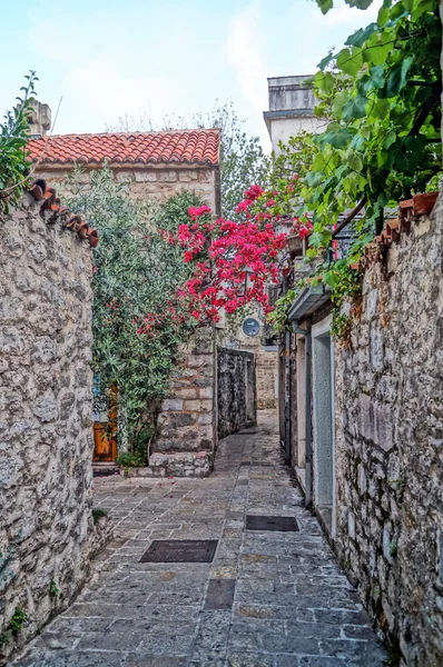 Karadağ'ın unutulmaz tatil