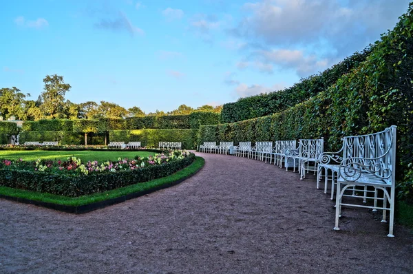 st. Petersburg güzel görünümler