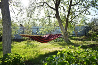 Kendini soyutlama. Bir hamak armut ağacına basar. Rahatla Bahar akşamı.