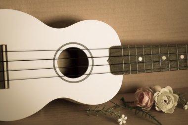 müzik aletleri ukulele