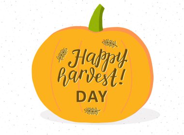 Mutlu Hasat Günü 'nün el yazısı buğday dikenli şirin el yazısı portakallı balkabağı vektörü. Noktalı desenli arka plan. Tebrik kartı, parti, festival davetiyesi, poster, afiş.