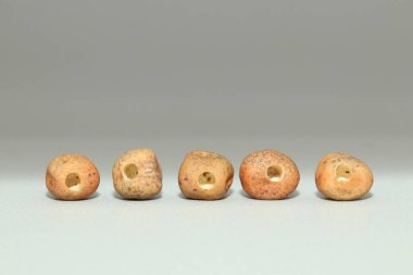 Bezelye bitleri (Bruchus pisorum) tarafından kemirilmiş deliklerle kurutulmuş bezelye tohumları. Bozulmuş bezelye tohumları Gri arka planda yakın plan uzanır.