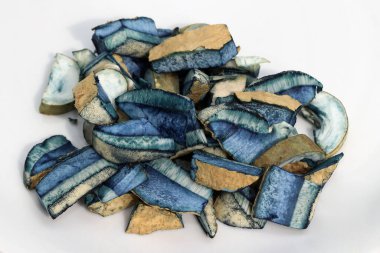 Parçalara ayrılan yenilebilir mantar Gyroporus siyanesanları, yaygın olarak bluing bolete ya da cornflower bolete olarak bilinir. Mantarın tüm parçaları kestikten hemen sonra koyu maviye döner..