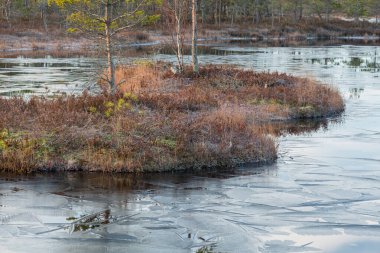 Nehir ve ormanlı güzel bir manzara. 