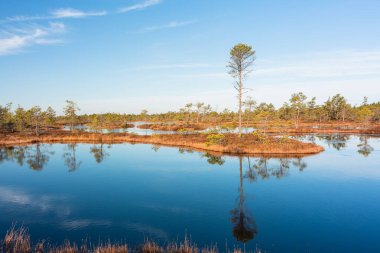 Göl manzarası ve sudaki ağaçların yansıması.