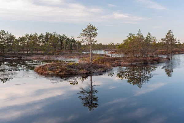 Morgon Träsksjön — Stockfoto