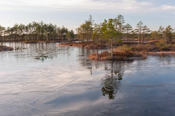 Morgon Träsksjön — Stockfoto