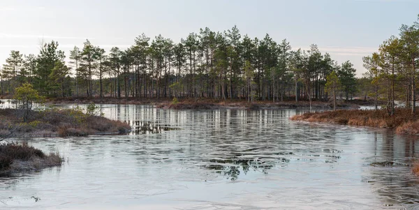 Morgon Träsksjön — Stockfoto