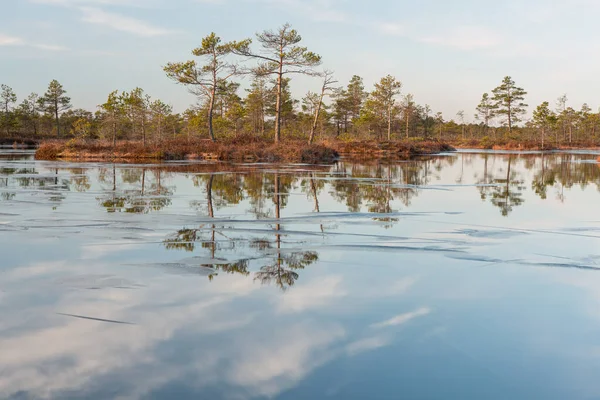 Vackert Landskap Med Sjö Och Spegling Träd Vatten — Stockfoto