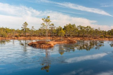 Göl manzarası ve sudaki ağaçların yansıması.