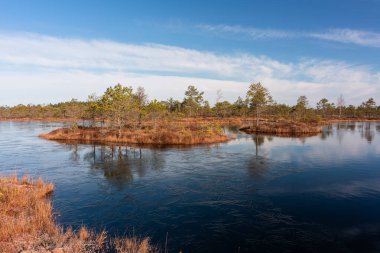 Göl manzarası ve sudaki ağaçların yansıması.